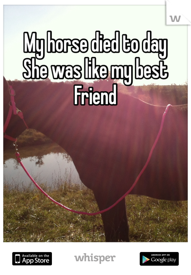 My horse died to day 
She was like my best
Friend 