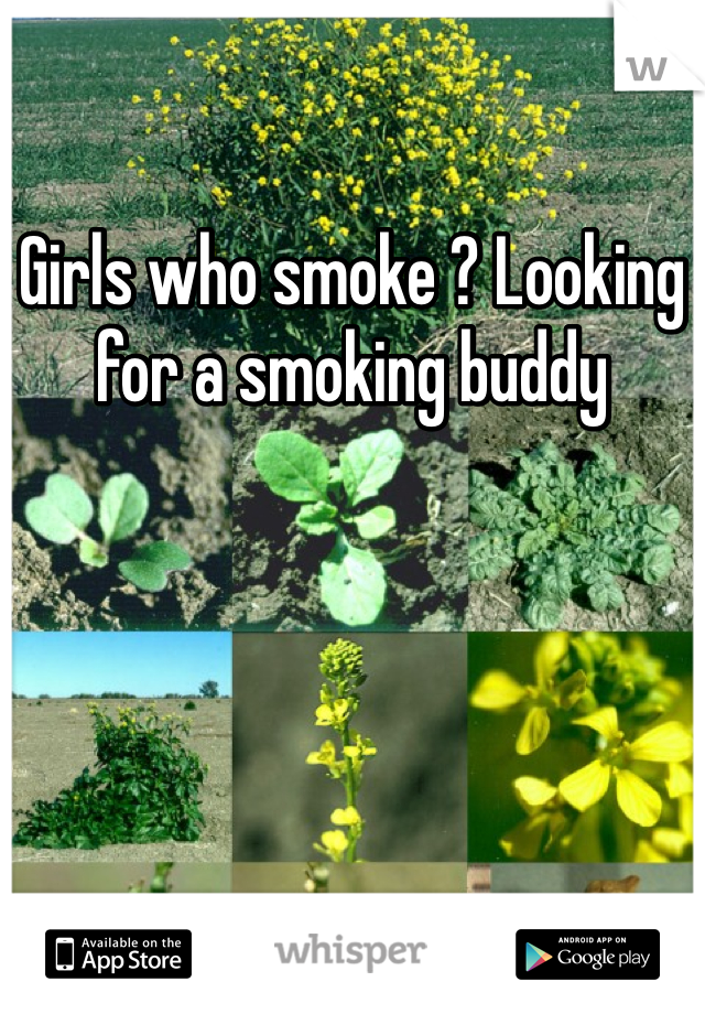 Girls who smoke ? Looking for a smoking buddy 