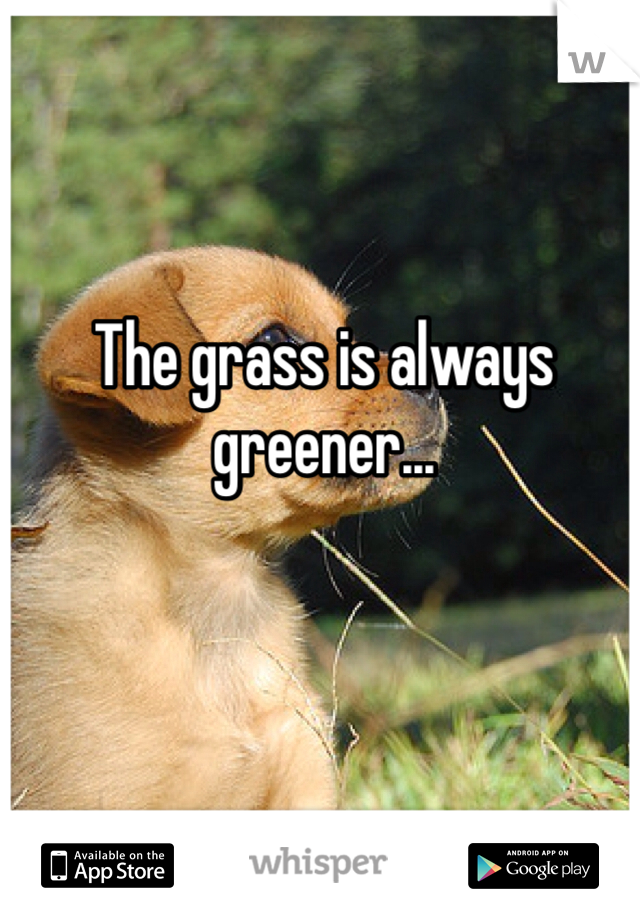 The grass is always greener...