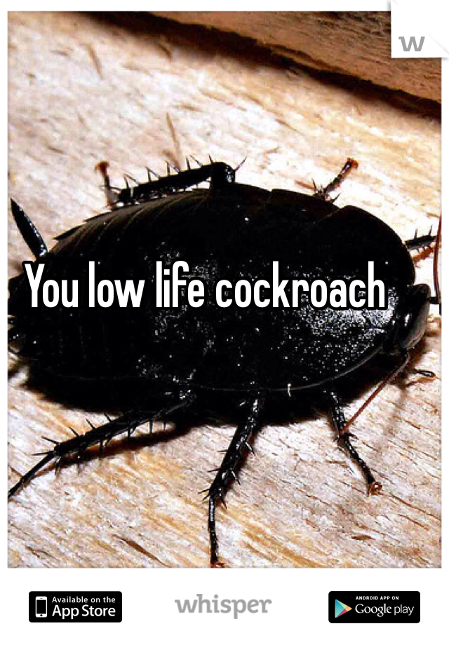 You low life cockroach 