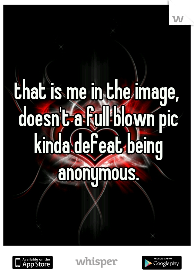 that is me in the image, doesn't a full blown pic kinda defeat being anonymous.