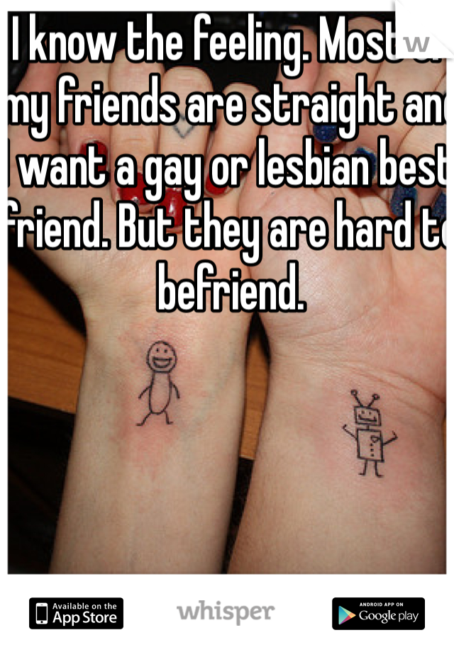 I know the feeling. Most of my friends are straight and I want a gay or lesbian best friend. But they are hard to befriend.