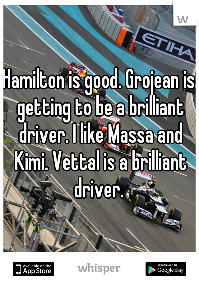 Hamilton is good. Grojean is getting to be a brilliant driver. I like Massa and Kimi. Vettal is a brilliant driver. 