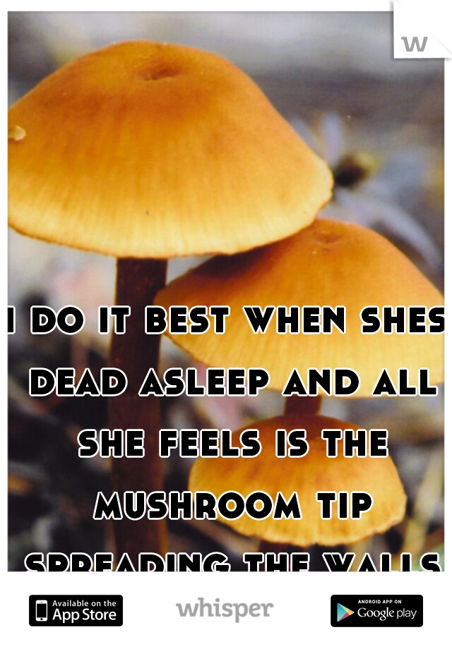 i do it best when shes dead asleep and all she feels is the mushroom tip spreading the walls waking up in shock 