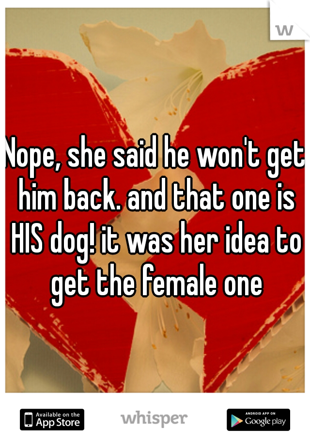 Nope, she said he won't get him back. and that one is HIS dog! it was her idea to get the female one