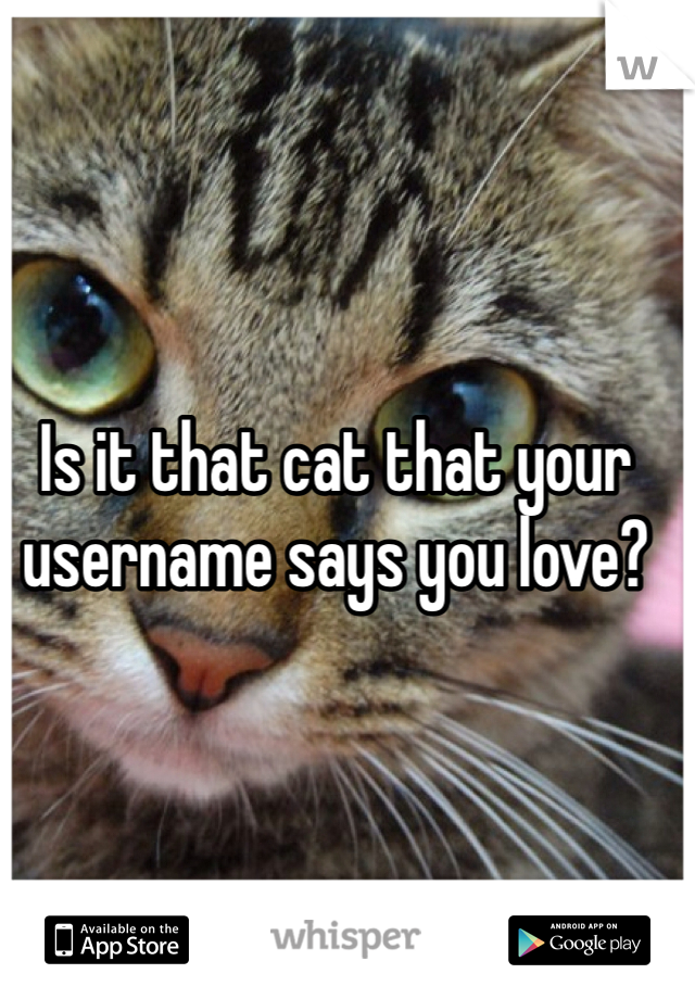 Is it that cat that your username says you love? 