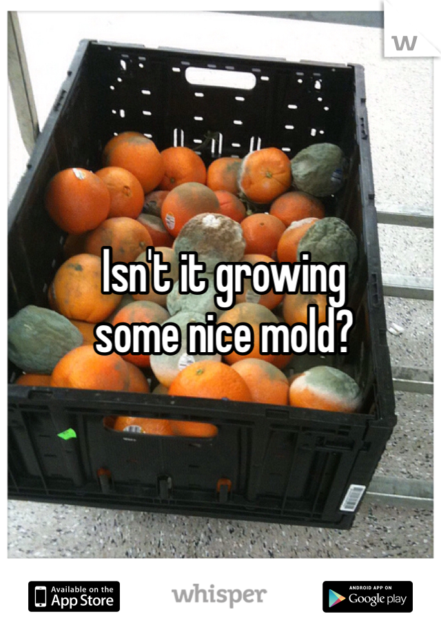 Isn't it growing 
some nice mold?