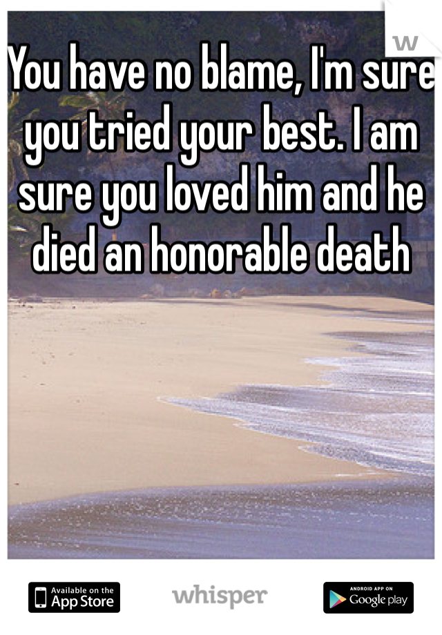 You have no blame, I'm sure you tried your best. I am sure you loved him and he died an honorable death