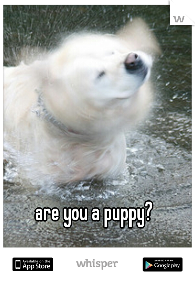 are you a puppy?