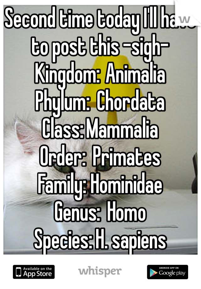 Second time today I'll have to post this -sigh-
Kingdom:	Animalia
Phylum:	Chordata
Class:	Mammalia
Order:	Primates
Family:	Hominidae
Genus:	Homo
Species:	H. sapiens
We are MAMMALS.
