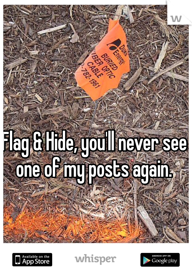 Flag & Hide, you'll never see one of my posts again.