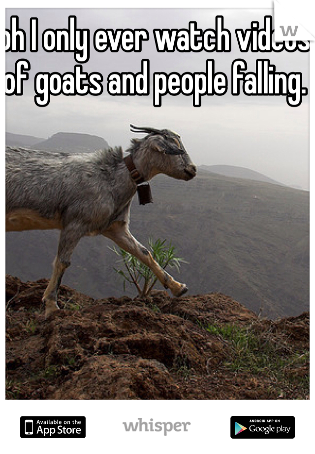 oh I only ever watch videos of goats and people falling. 