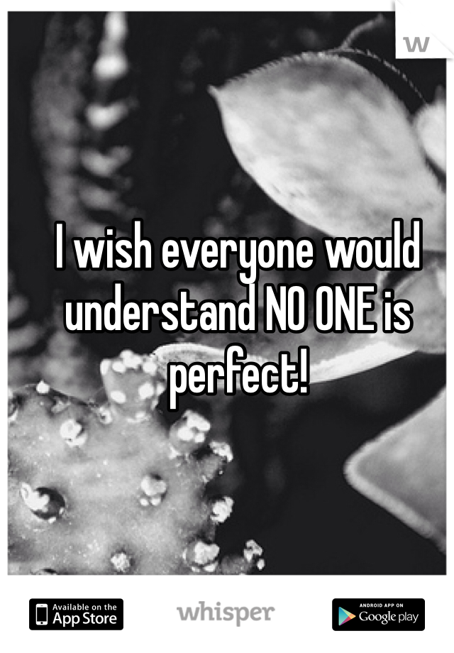 I wish everyone would understand NO ONE is perfect!