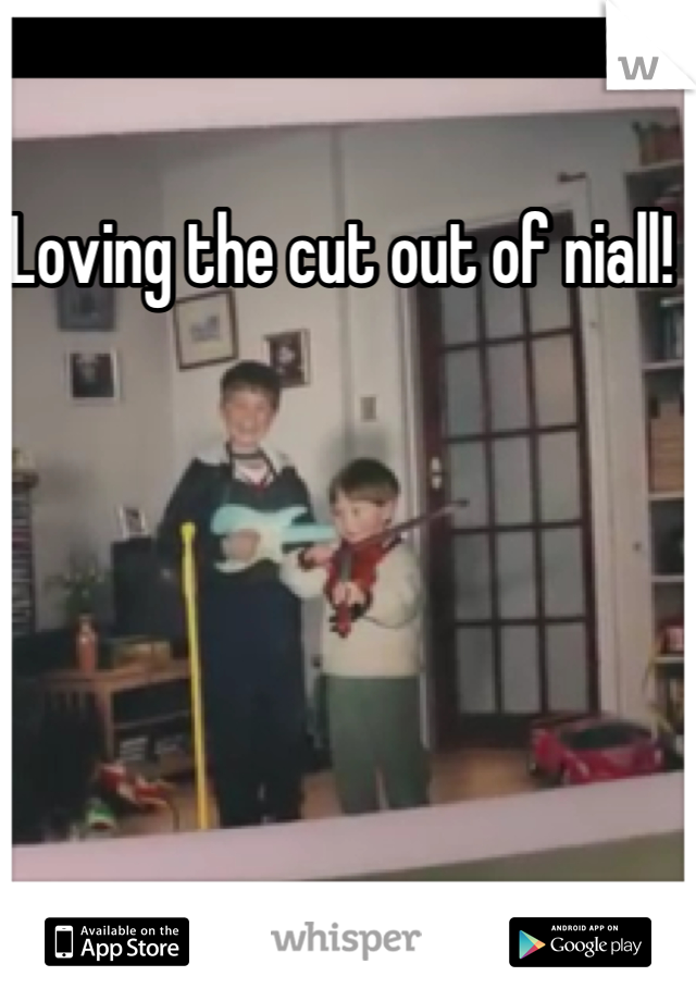 Loving the cut out of niall! 