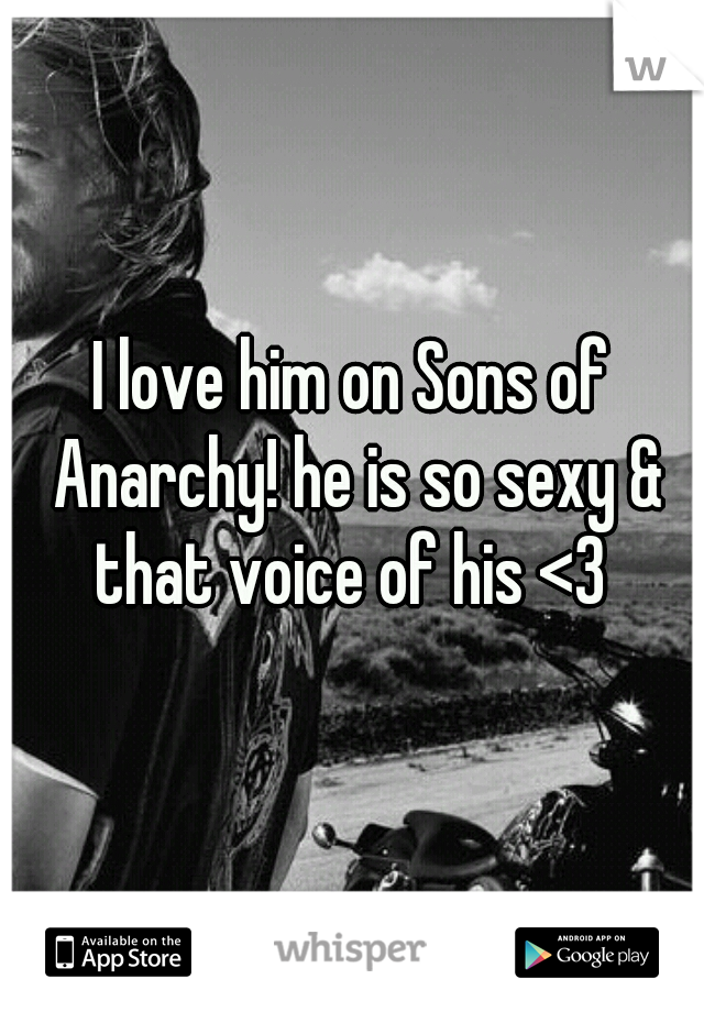 I love him on Sons of Anarchy! he is so sexy & that voice of his <3 
