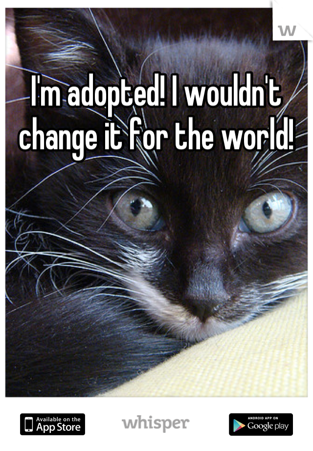 I'm adopted! I wouldn't change it for the world!