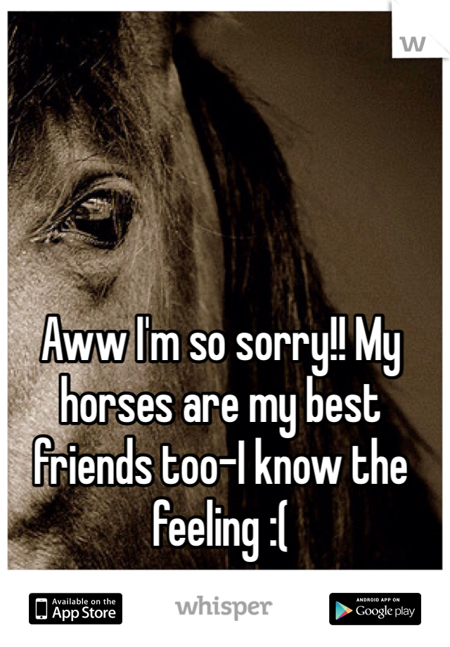 Aww I'm so sorry!! My horses are my best friends too-I know the feeling :(