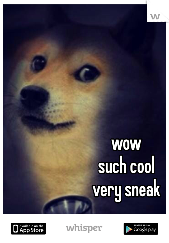 wow
such cool
very sneak