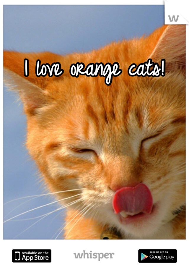 I love orange cats! 