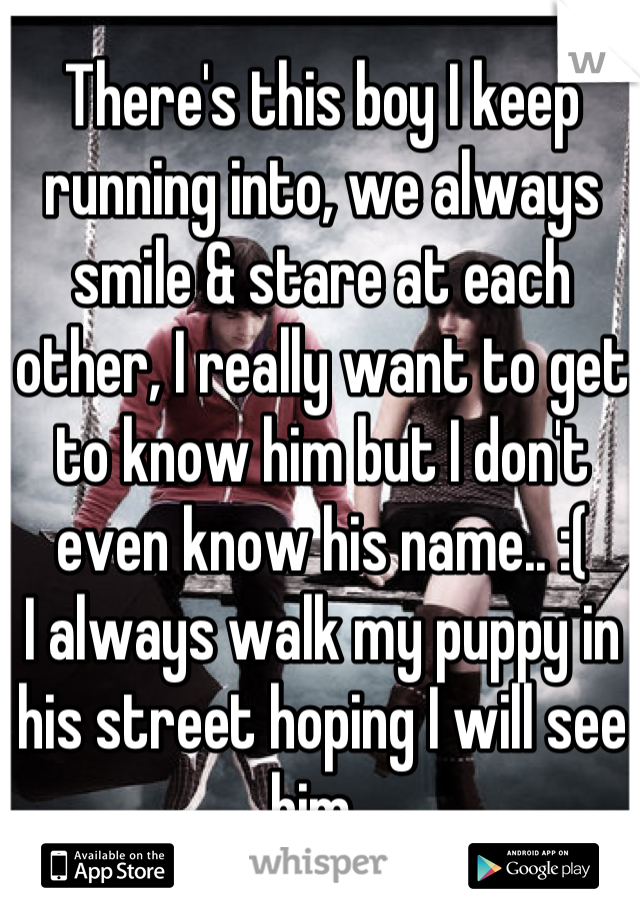 There's this boy I keep running into, we always smile & stare at each other, I really want to get to know him but I don't even know his name.. :(
I always walk my puppy in his street hoping I will see him. 