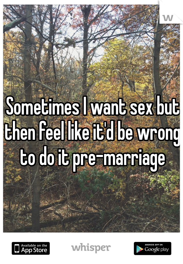 Sometimes I want sex but then feel like it'd be wrong to do it pre-marriage 