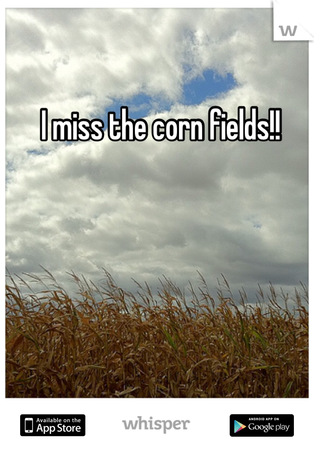 I miss the corn fields!! 
