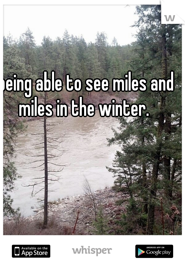 being able to see miles and miles in the winter.  