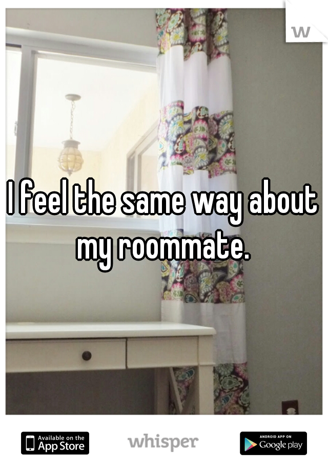 I feel the same way about my roommate. 