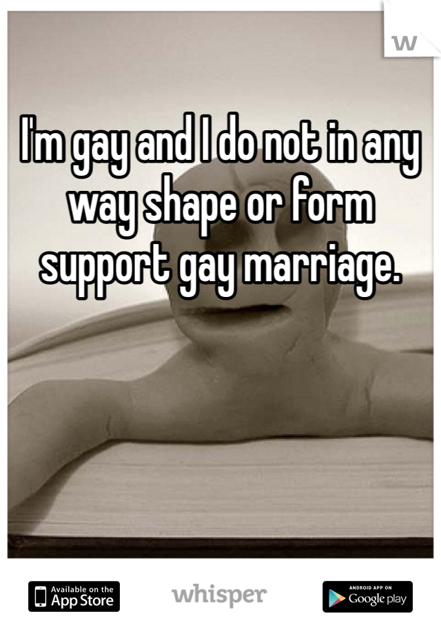 I'm gay and I do not in any way shape or form support gay marriage.