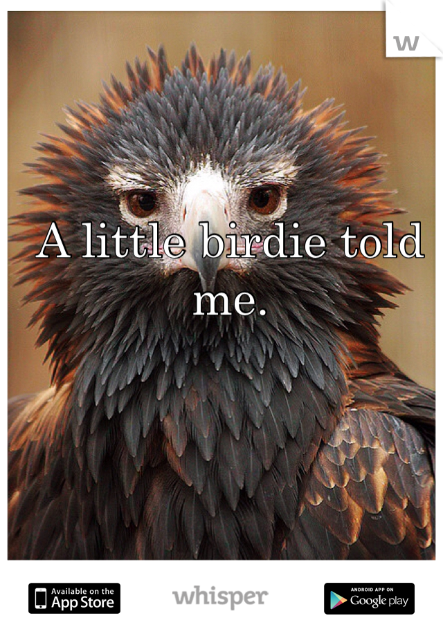 A little birdie told me.