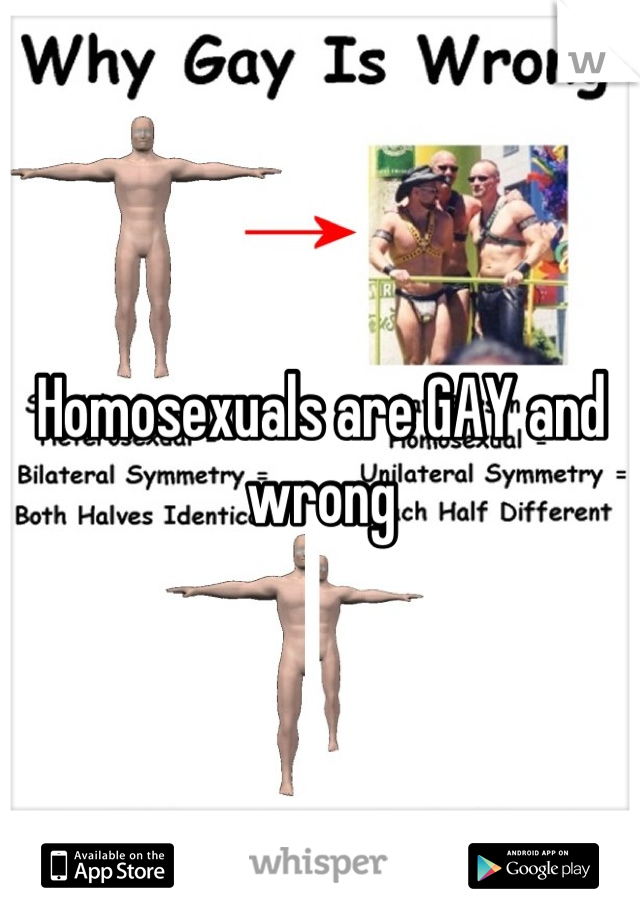 Homosexuals are GAY and wrong