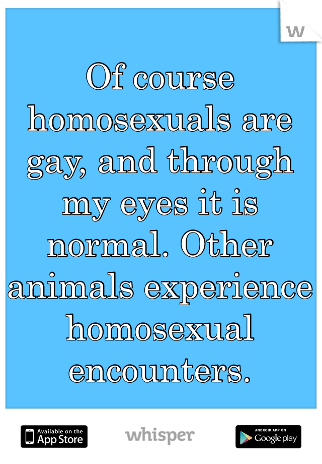 Of course homosexuals are gay, and through my eyes it is normal. Other animals experience homosexual encounters. 