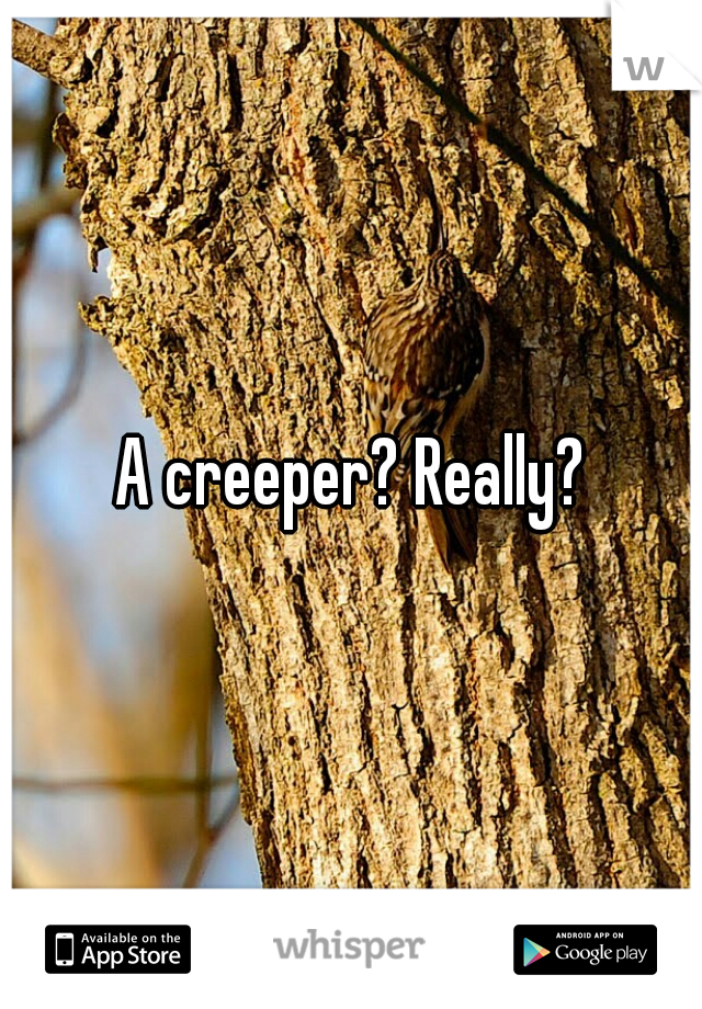 A creeper? Really?