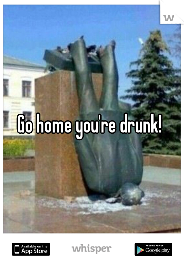 Go home you're drunk! 