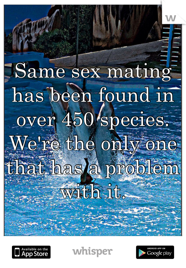 Same sex mating has been found in over 450 species. We're the only one that has a problem with it.