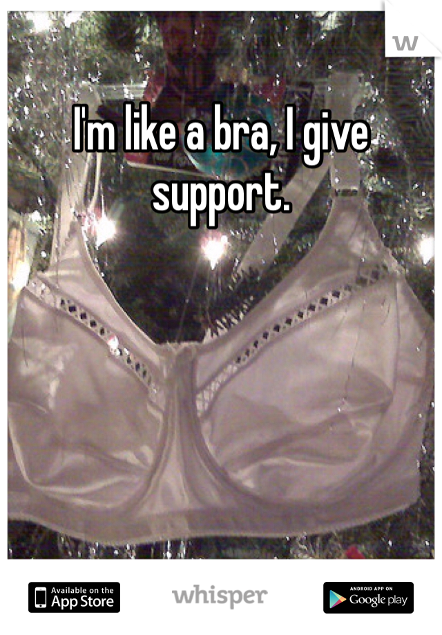 I'm like a bra, I give support.