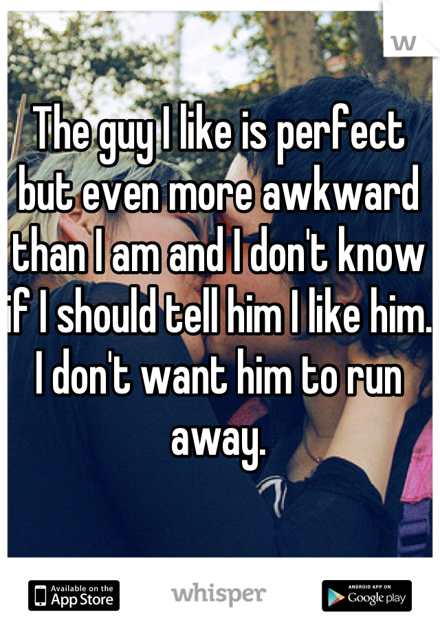 the-guy-i-like-is-perfect-but-even-more-awkward-than-i-am-and-i-don-t