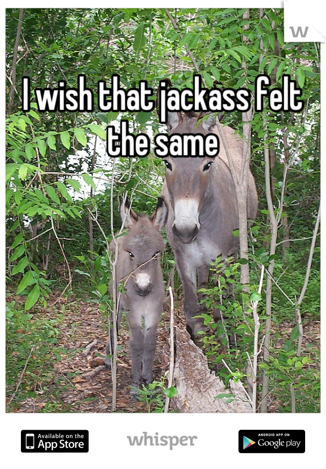 I wish that jackass felt the same