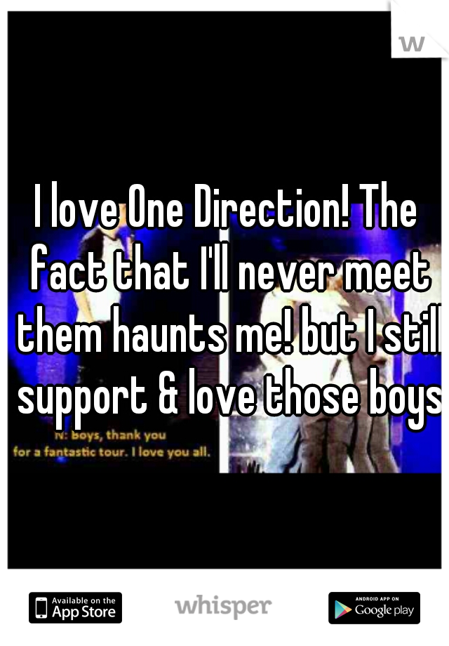 I love One Direction! The fact that I'll never meet them haunts me! but I still support & love those boys♥