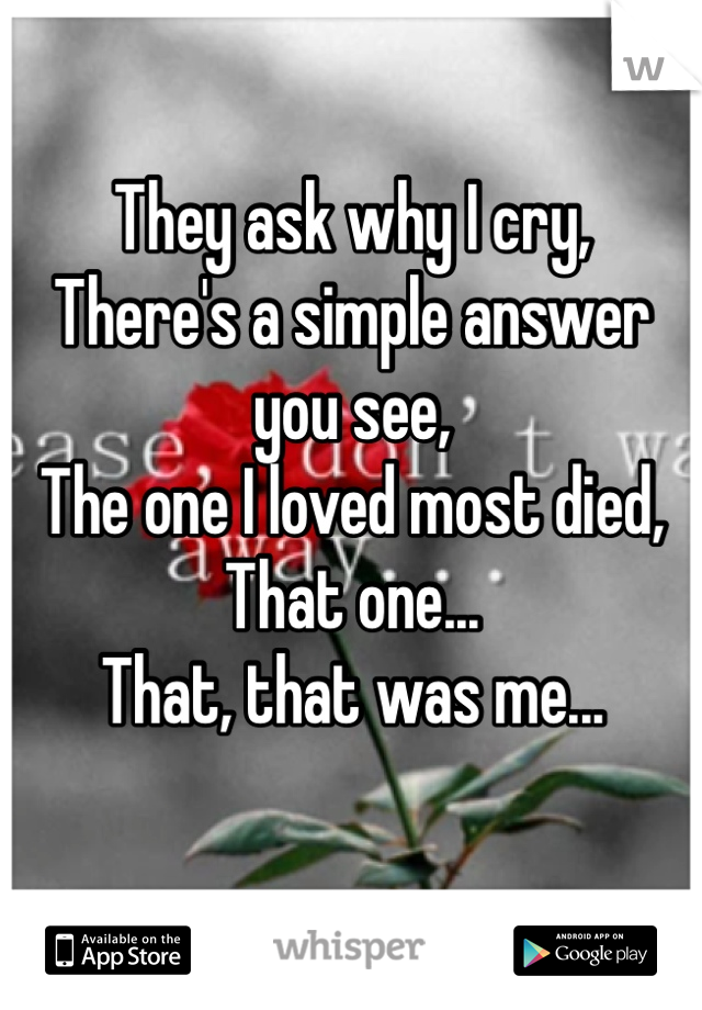 They ask why I cry, 
There's a simple answer you see, 
The one I loved most died, 
That one... 
That, that was me...