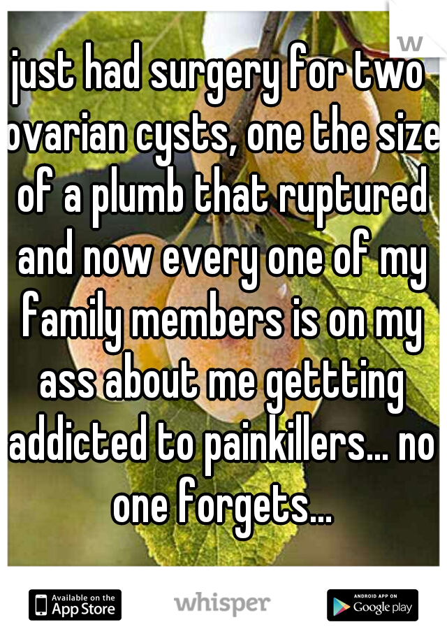 just had surgery for two ovarian cysts, one the size of a plumb that ruptured and now every one of my family members is on my ass about me gettting addicted to painkillers... no one forgets...