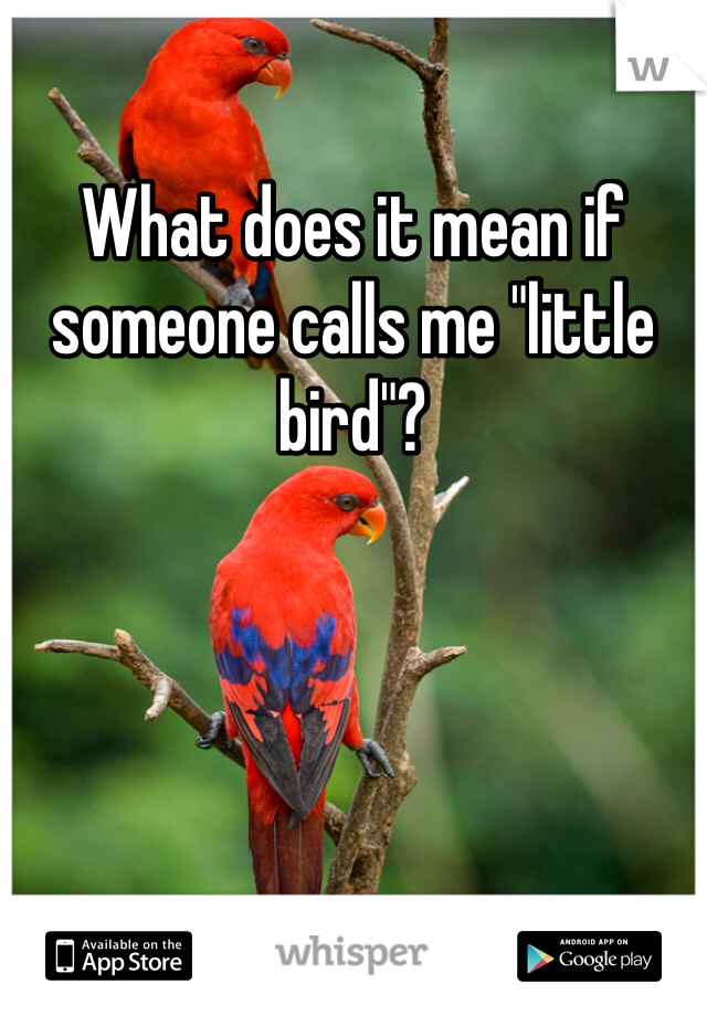 What does it mean if someone calls me "little bird"?