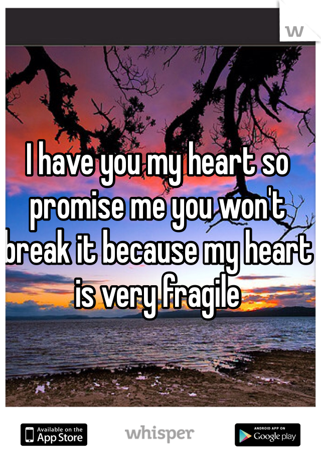 I have you my heart so promise me you won't break it because my heart is very fragile 