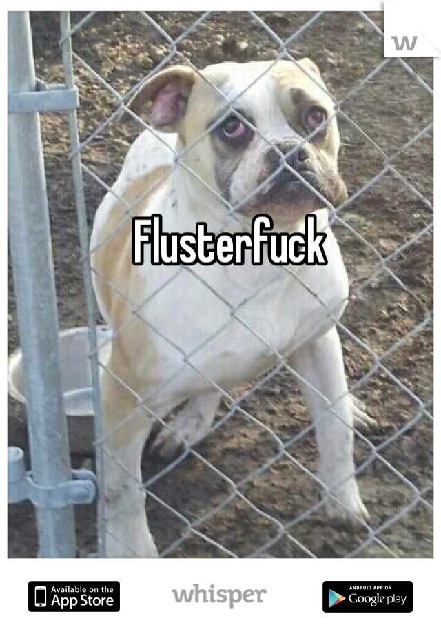 Flusterfuck