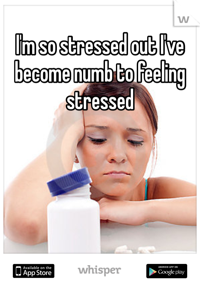 I'm so stressed out I've become numb to feeling stressed 