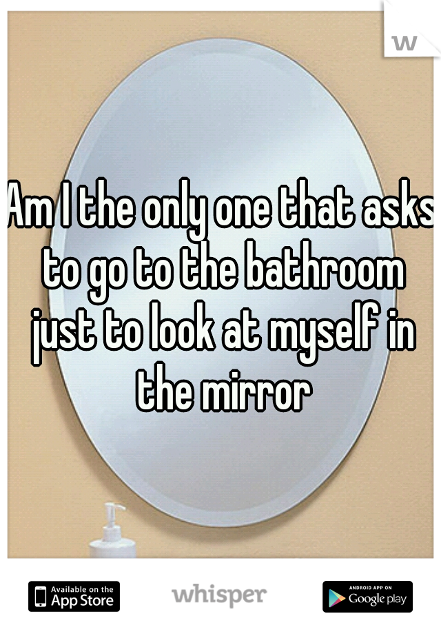 Am I the only one that asks to go to the bathroom just to look at myself in the mirror