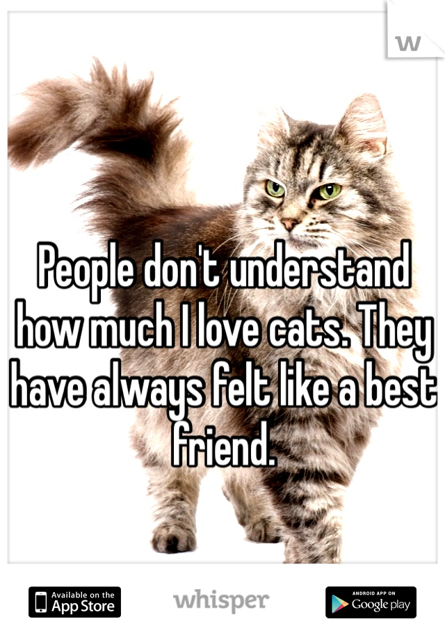People don't understand how much I love cats. They have always felt like a best friend.