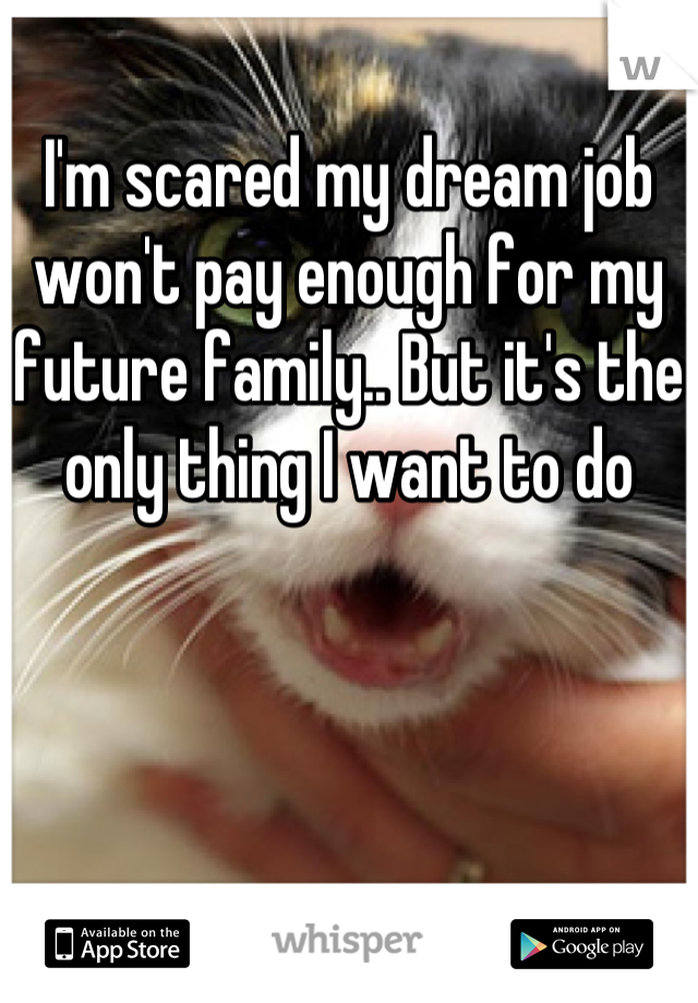 I'm scared my dream job won't pay enough for my future family.. But it's the only thing I want to do