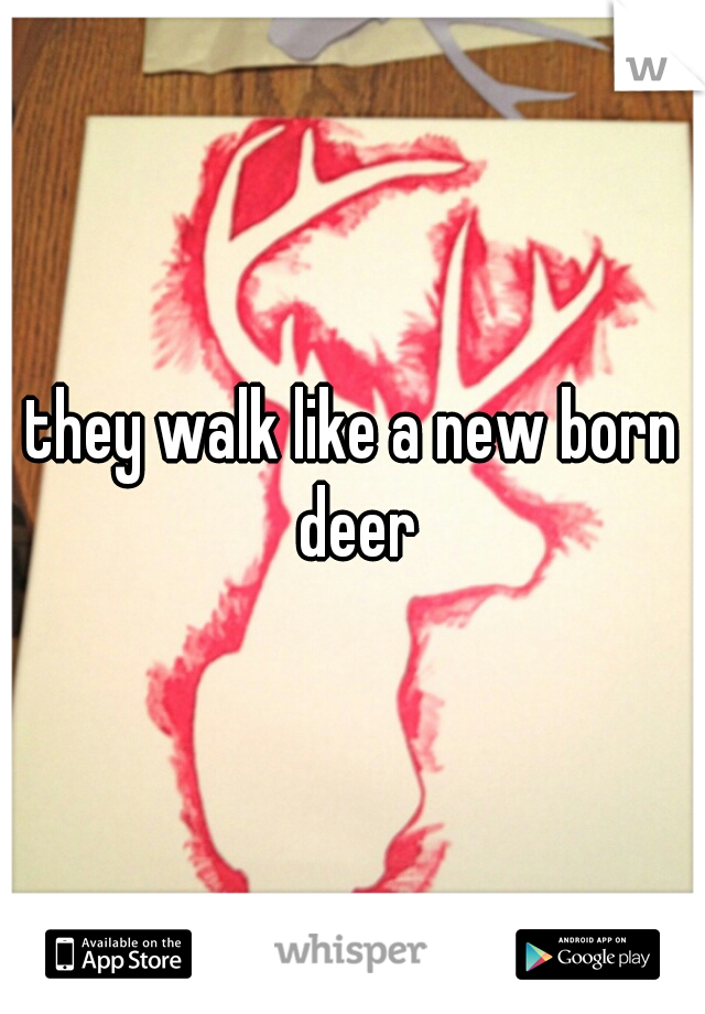 they walk like a new born deer