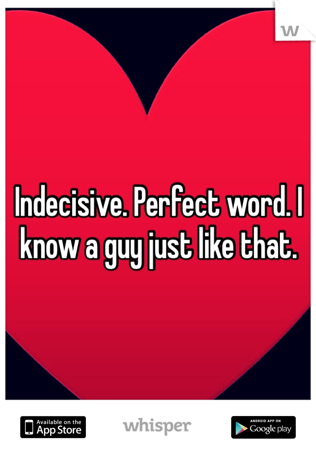 Indecisive. Perfect word. I know a guy just like that.